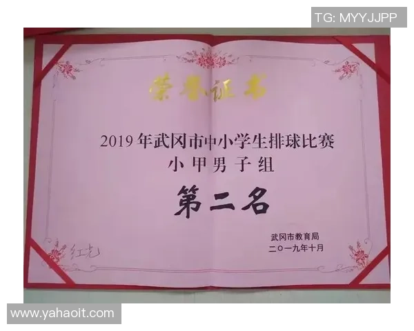 武汉排球队心理素质在锦标赛中的表现分析与启示